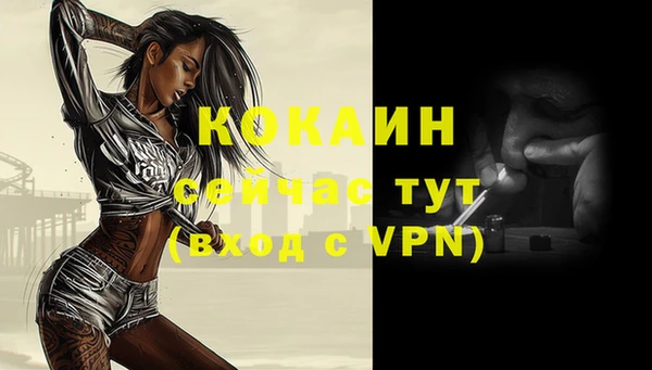 ГАЛЛЮЦИНОГЕННЫЕ ГРИБЫ Коряжма