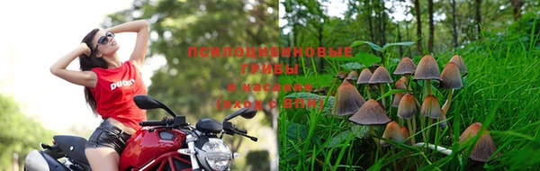 каннабис Краснотурьинск