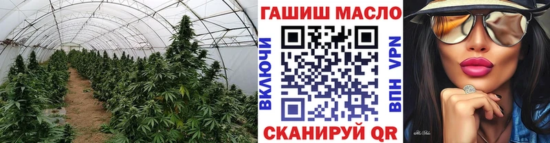 Дистиллят ТГК концентрат  Купить  Ельня 